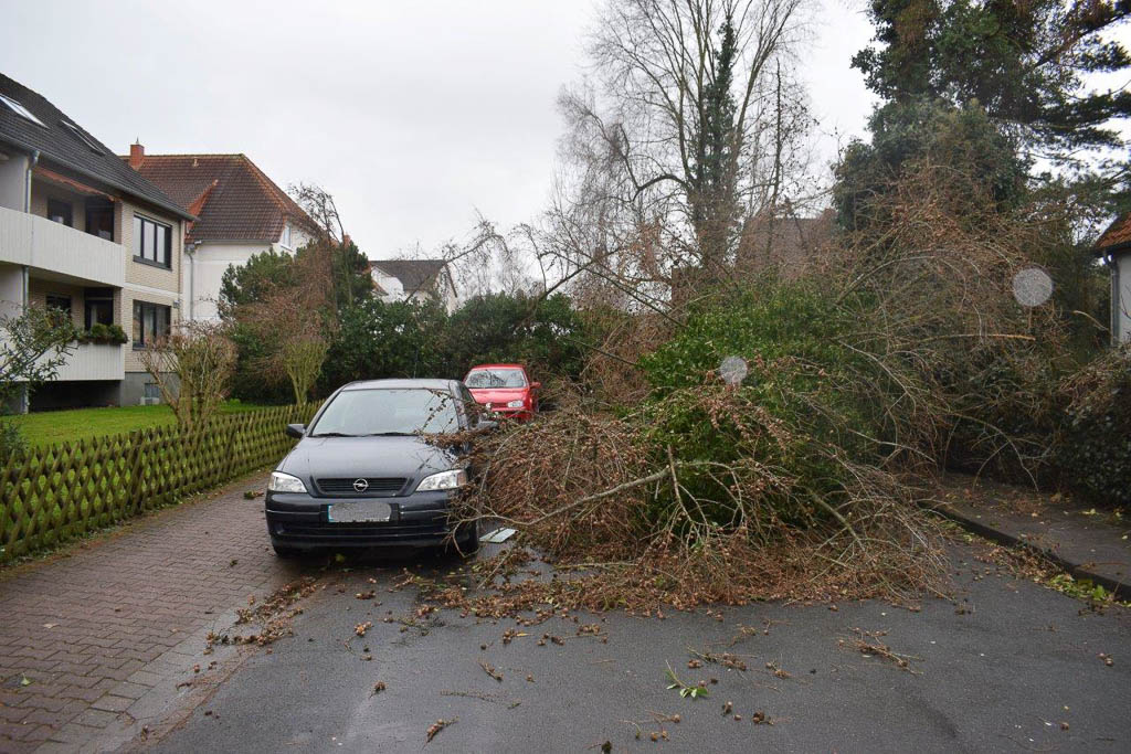Orkan „Friederike“ hält Einsatzkräfte im Landkreis in Atem