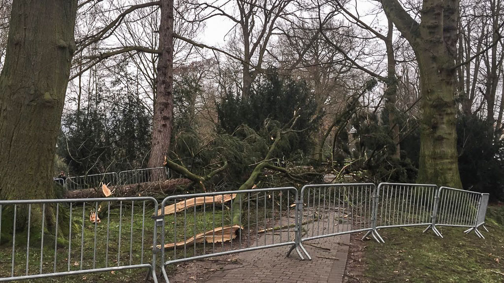 Nach Orkan Friederike: Aufräumarbeiten in Schaumburger Wäldern