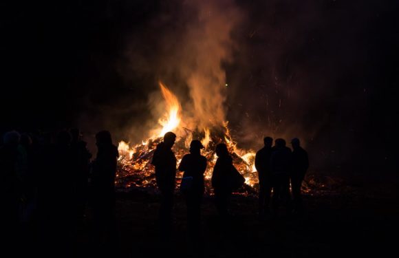 Todesfalle für Tiere: Osterfeuer unbedingt vor dem Anzünden umschichten