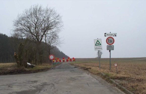 Amphibienschutz an den Straßen des Landkreises