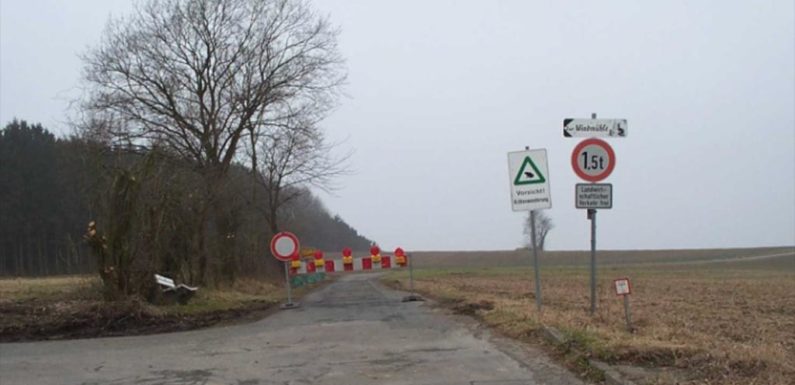 Amphibienschutz an den Straßen des Landkreises