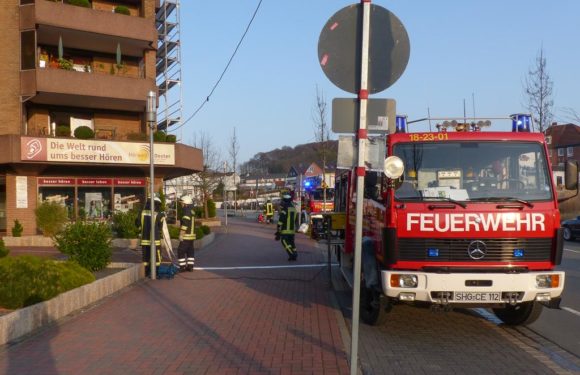 Angebranntes Essen löst Feuerwehreinsatz aus
