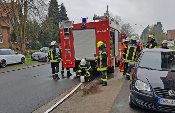 Essen auf Herd vergessen: Feuerwehr rettet Hund aus verrauchter Wohnung