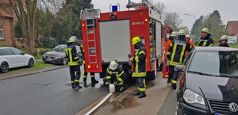 Essen auf Herd vergessen: Feuerwehr rettet Hund aus verrauchter Wohnung