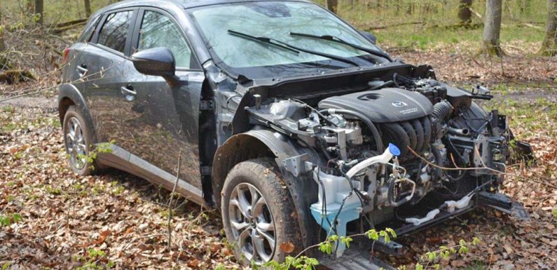 Gestohlener Mazda aus Minden ausgeschlachtet im Schaumburger Wald zurückgelassen