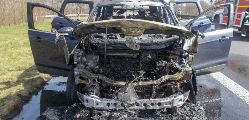 Ford Kuga auf B65 ausgebrannt