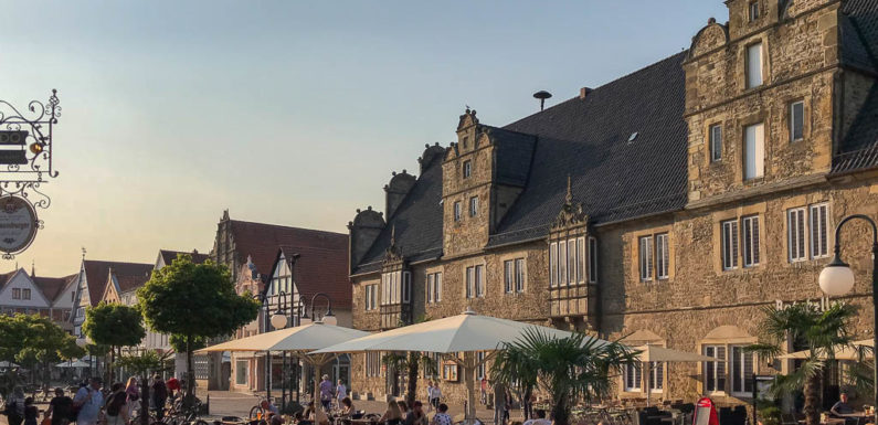 Stadthagen: Umbau der Fußgängerzone / Kugelahornbäume in Marktstraße werden gefällt