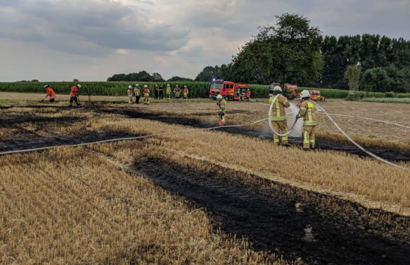Feuer auf Getreidefeld in Enzen ausgebrochen