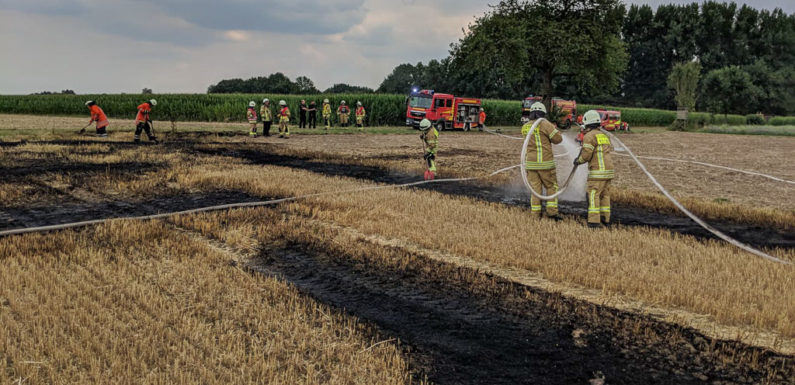 Feuer auf Getreidefeld in Enzen ausgebrochen