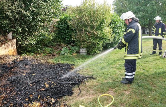 Feuerwehr löscht brennendes Gestrüpp