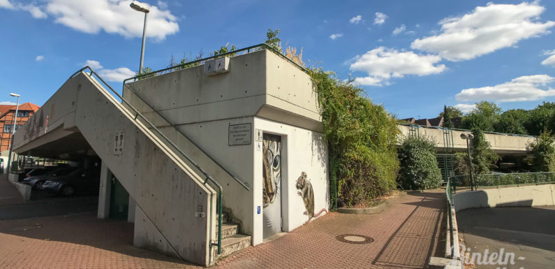 Acht Sonnenbrillen gestohlen: Trainierter Polizeibeamter bringt Ladendieb zu Fall