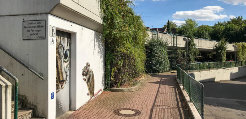 Bückeburg: Drogenkontrolle im Parkhaus