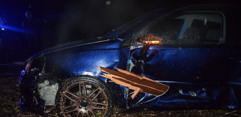 Autofahrer (19) kommt von Straße ab und landet in Vorgarten