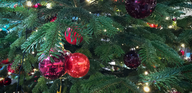 Weihnachtsmarkt in Stadthagen vom 30.11. bis 28.12.2018