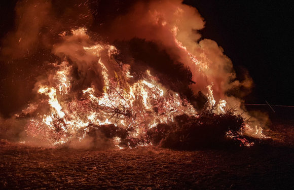 Wegen Corona: Feuerwehr Hagenburg/Altenhagen sagt Laternenumzug, Seniorennachmittag und Tannenbrand ab