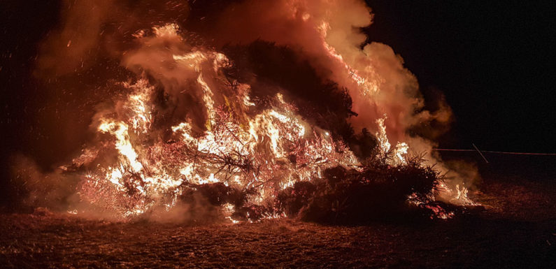 Tannenbrand in Hagenburg wieder ein voller Erfolg