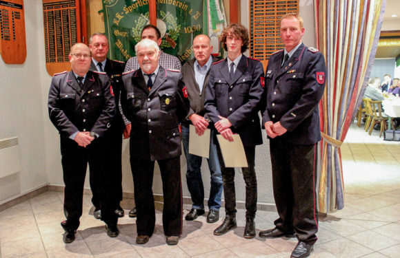 Einsatzzahlen leicht rückläufig