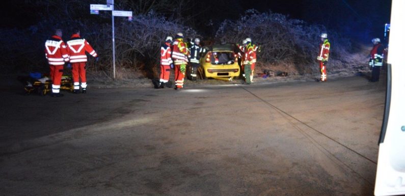 Im Dickicht verschwunden