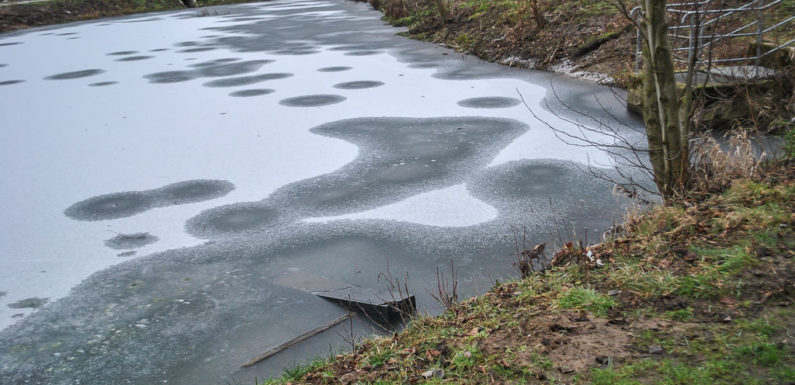 Gestohlenen Waffenschrank im Teich versenkt