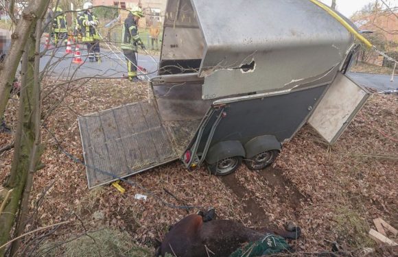 Feuerwehr zur Tierrettung nach Unfall eingesetzt