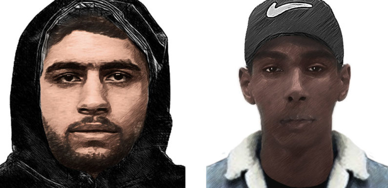 Polizei Bückeburg sucht mit Phantombildern nach Tätern