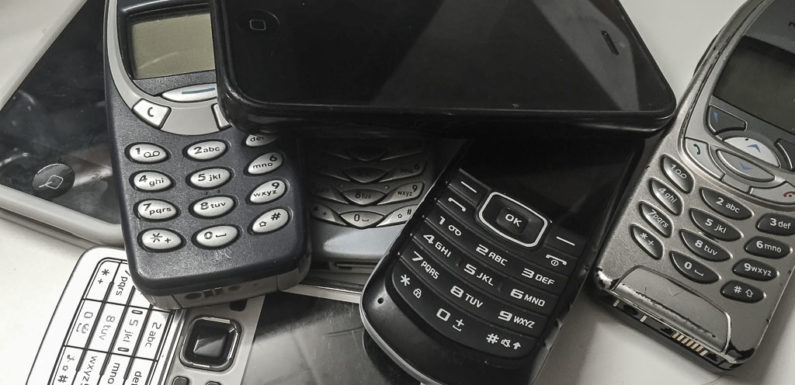 Stadtwerke Schaumburg-Lippe sammeln Handys, Tablets & Co. für Hummel, Biene & Co.