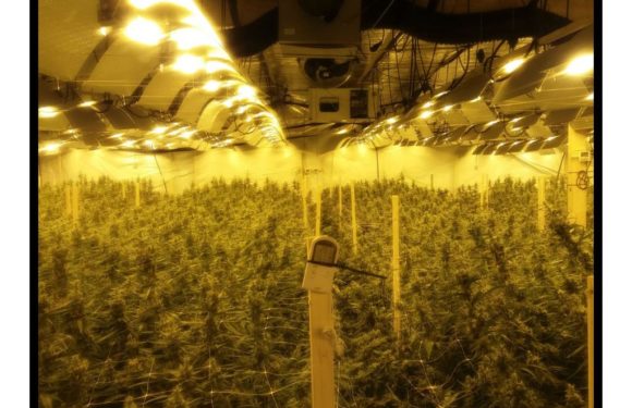 Drogen, Geld und Autos beschlagnahmt: Große Durchsuchungsaktion von Polizei und SEK