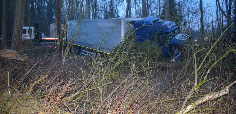 Alkoholisierter LKW-Fahrer landet im Wald