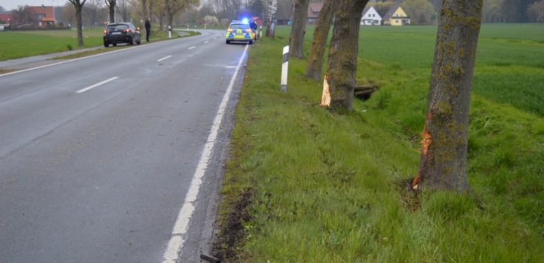 Kontrolle verloren und Bäume gestreift