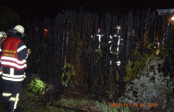 Thujahecken und Zaun in Flammen