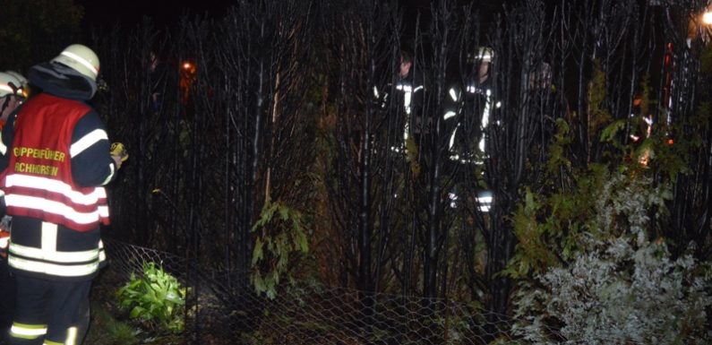 Thujahecken und Zaun in Flammen