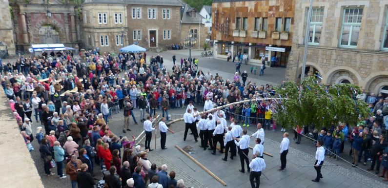 Bückeburg: Maibaum wird auf dem Marktplatz aufgestellt