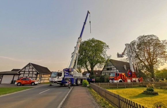 Schwerer Ast stürzt auf Hausdach
