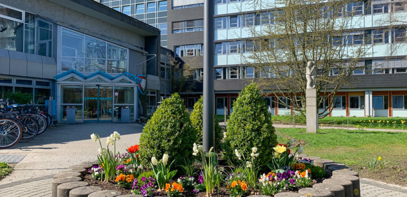 Anleinpflicht von Hunden: Am 1. April hat die Brut-, Setz und Aufzuchtzeit begonnen