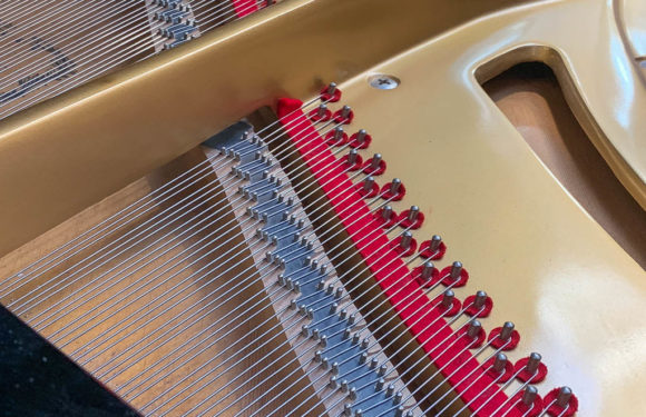 Konzertreihe „Die besondere Dreiviertelstunde“