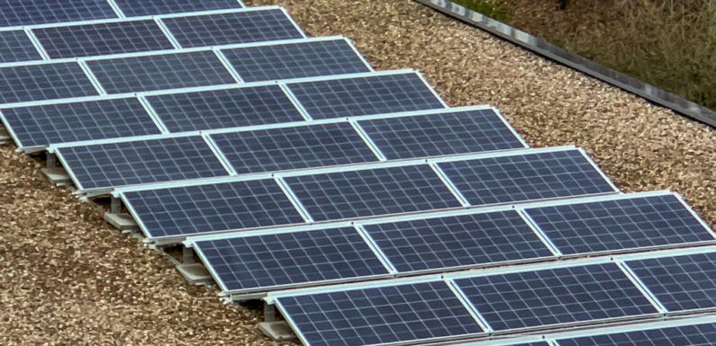 Solarberatung im Landkreis Schaumburg: Das Interesse an Solarstrom wächst