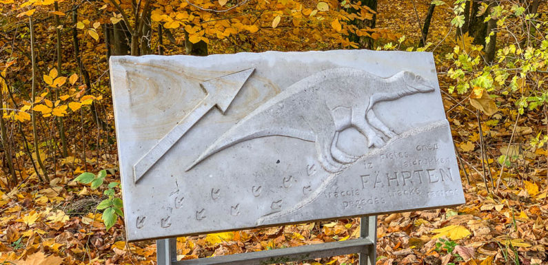 Bingo-Umweltstiftung fördert Bergung von Dinosaurier-Fährten