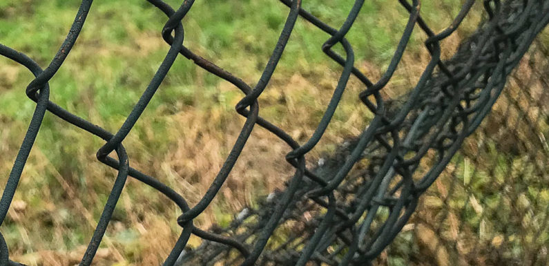 Maschendrahtzaun gestohlen