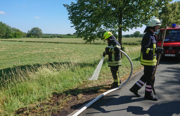 Feuerwehr löscht kleinen Flächenbrand