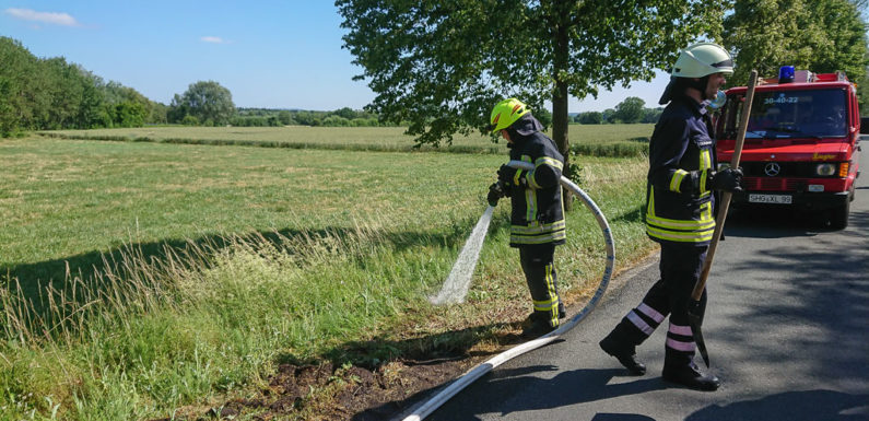 Feuerwehr löscht kleinen Flächenbrand