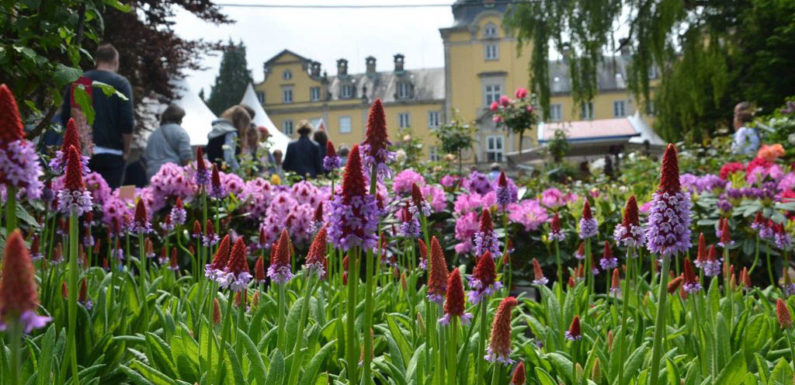 Landpartie feiert 20. Geburtstag: Mittsommer-Traum auf Schloss Bückeburg