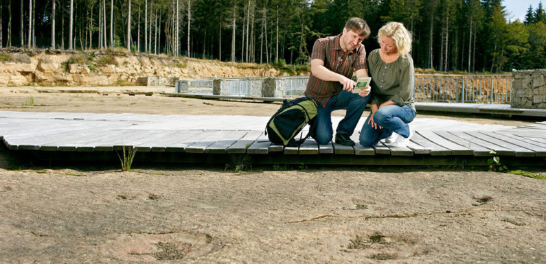 Auf den Spuren einer längst vergangenen Zeit: Dino-Spuren im Schaumburger Land entdecken