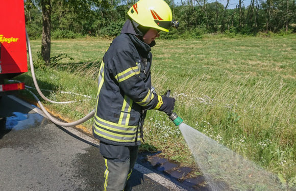 Feuerwehr löscht Fläche am Kreisel „Dreiländereck“