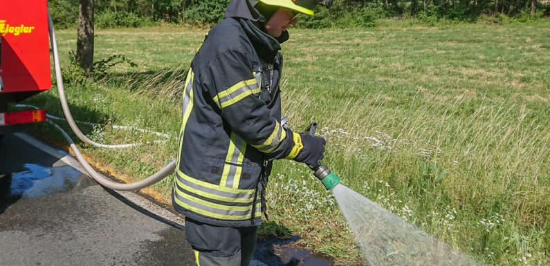 Feuerwehr löscht Fläche am Kreisel „Dreiländereck“