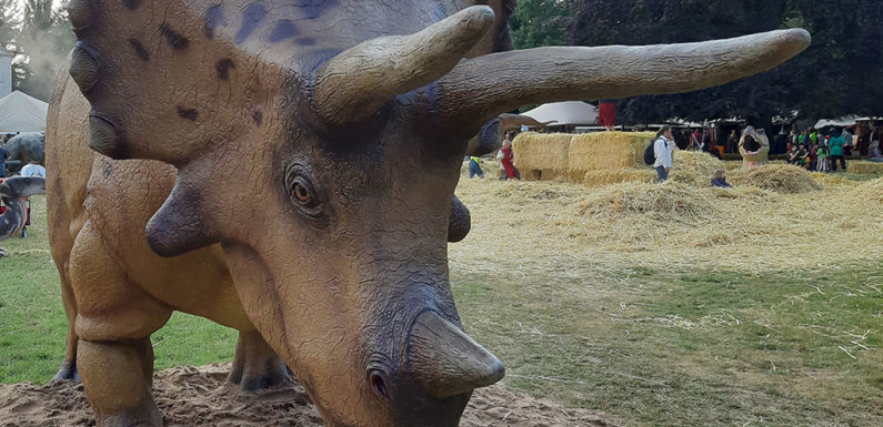 Dinosaurier gesehen, Unfall verursacht