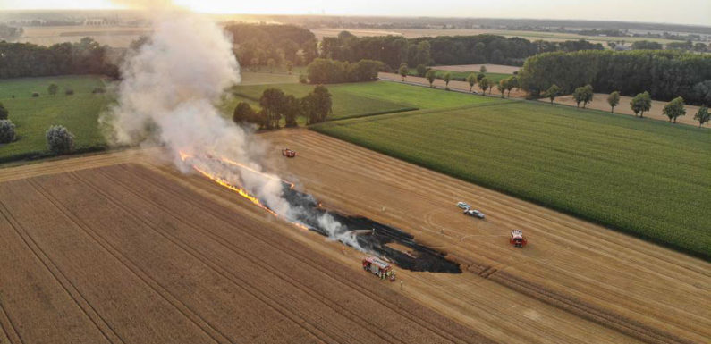 Hobbensen: Feuerwehren löschen brennendes Kornfeld