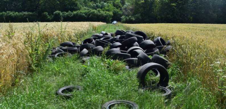 Über 140 Autoreifen illegal entsorgt
