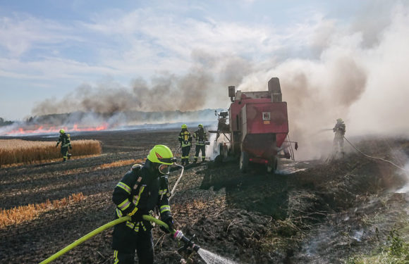 Feuer greift auf Wald über: 150 Feuerwehrleute im Großeinsatz in Sachsenhagen