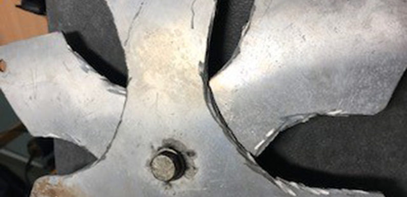 Schrottsammler kontrolliert, Wurfstern sichergestellt, Haftbefehl vollstreckt