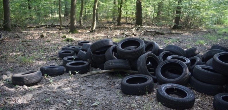 Schon wieder 100 Altreifen im Schaumburger Wald entsorgt